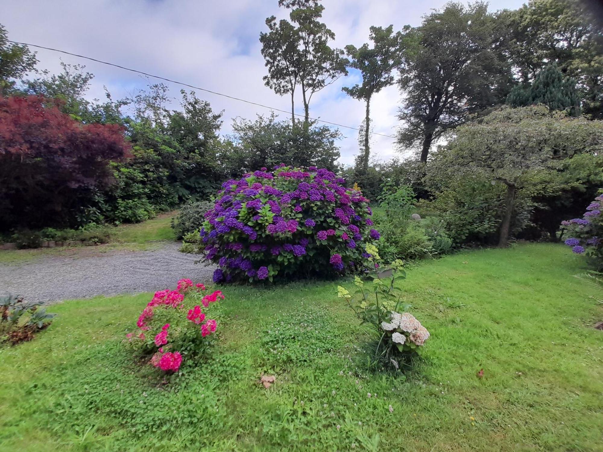 Bed And Breakfast Saultchevreuil, Au Mont Saint Michel Villedieu-les-Poeles-Rouffigny Bagian luar foto